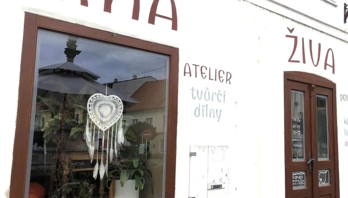 Kavarna Ziva Hodnoceni - Nám. 5. Května 25