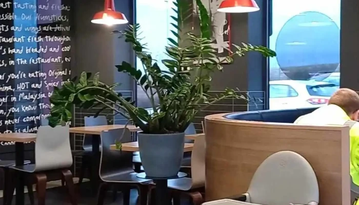 Kfc D11 Exit 50 Dt -  Videa - Dobšice-žehuň