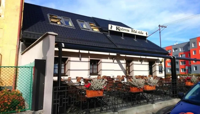Kozlovna Bílá růže Čáslav - Pražská 116