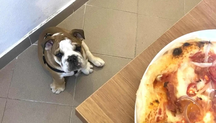 La Jemizza -  Instagram - Husova 42