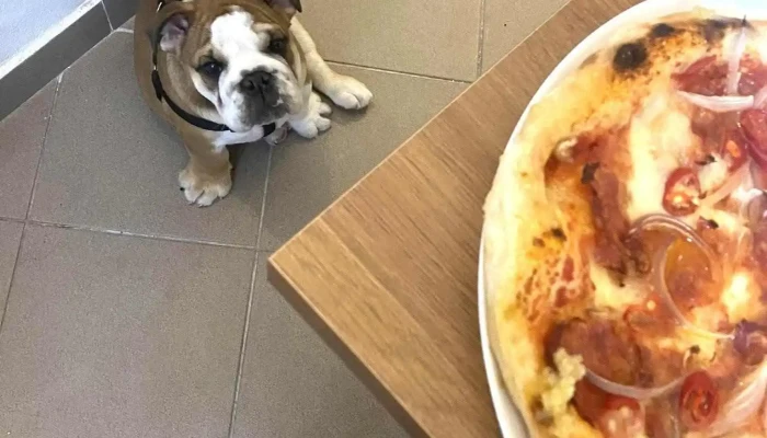 La Jemizza -  Pizza - Husova 42