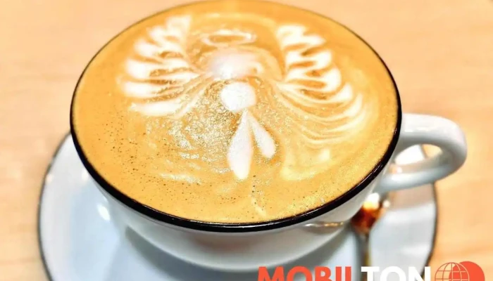 Lagarto Deli Most -  Cappuccino - 118, Tř. Budovatelů 3067