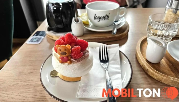 Lagarto Deli Most -  Kava - 118, Tř. Budovatelů 3067