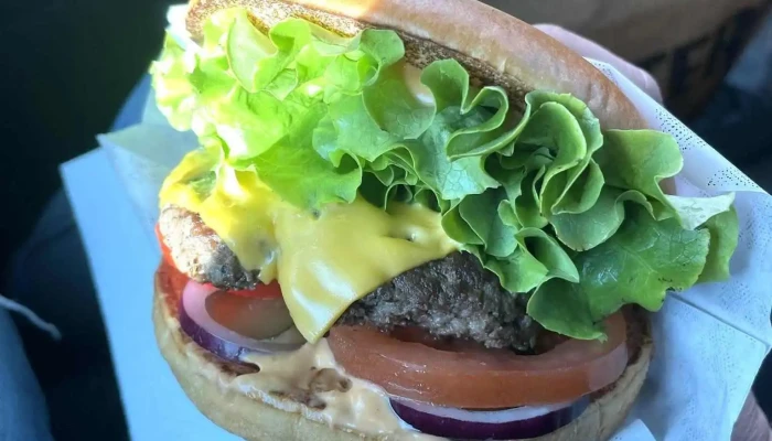 Master Burger -  Nejnovejsi - Romana Havelky 4854