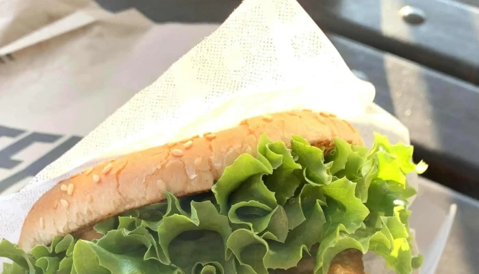 Master Burger -  Rychle Občerstveni - Romana Havelky 4854