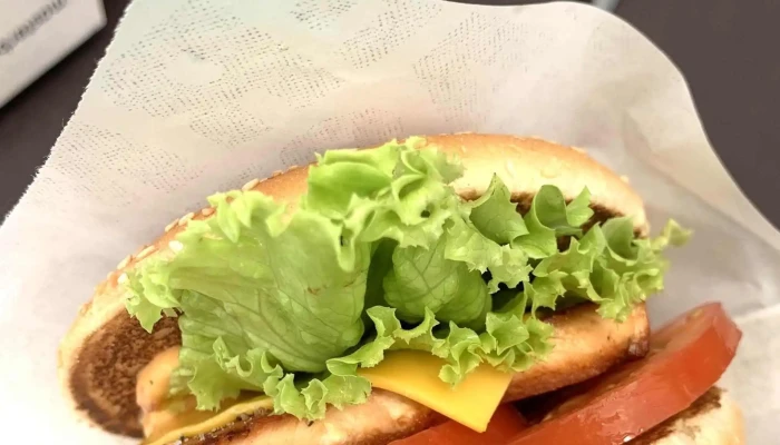 Master Burger -  Webova Stranka - Romana Havelky 4854