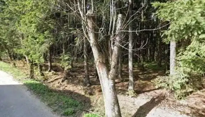 Miroslav Hosek   Restaurace A Penzion Tisuvka Street View A 360deg - Cikháj