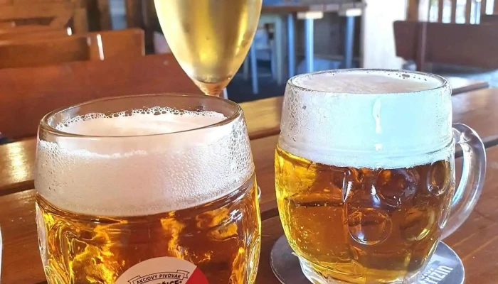 Mlyn Sedlec   Restaurace A Penzion Jidlo A Piti - Sedlec