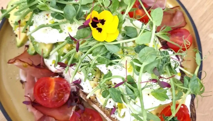Moma Bistro Kavarna Nejnovejsi - Havířská 1008/15 586 01