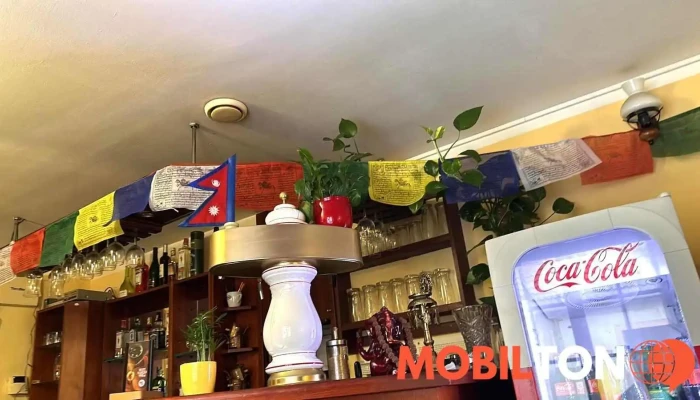Munal Nepalska A Indicka Restaurace Kadan Vzhled A Atmosfera - B. Němcové 1689