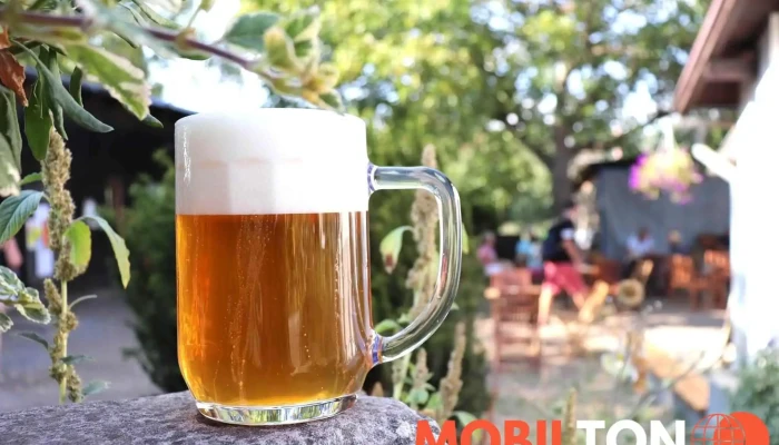 Obcerstveni Kulna Pivo - Czech Republic