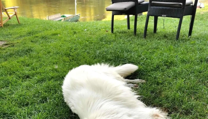 Obcerstveni Na Cyklostezce Kiosek U Privozu Ve Vranem Nad Vltavou Instagram - 1043
