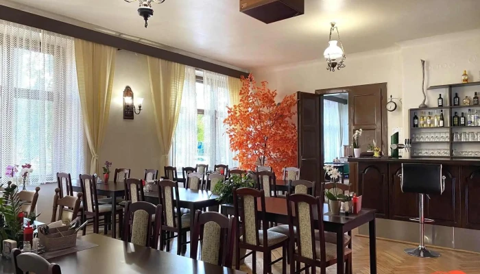Orchids Asian Restaurant - 738 01 Frýdek-Místek 1