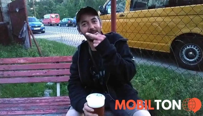 Pallasit -  Videa - Průmyslová 1041