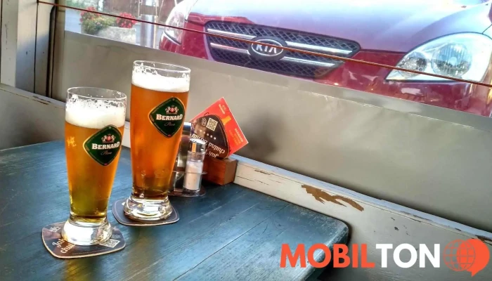 Penzion A Hospudka 21 Pivo - Růžová
