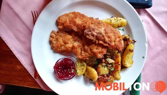Penzion A Restaurace Salis -  Jidlo A Piti - Liptál 300