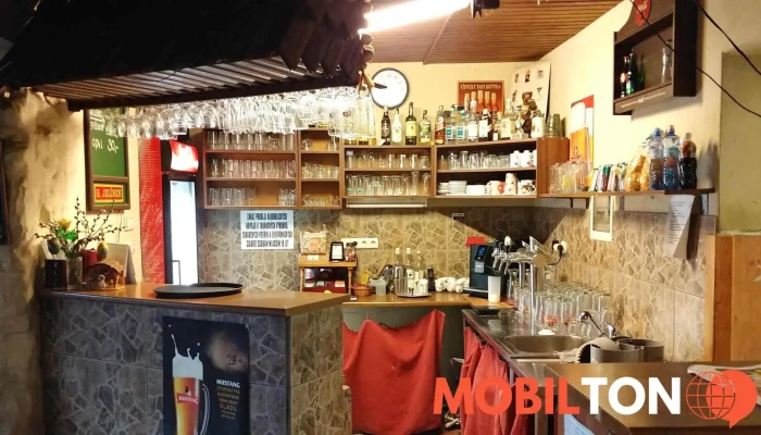 Penzion A Restaurace Salis -  Vzhled A Atmosfera - Liptál 300