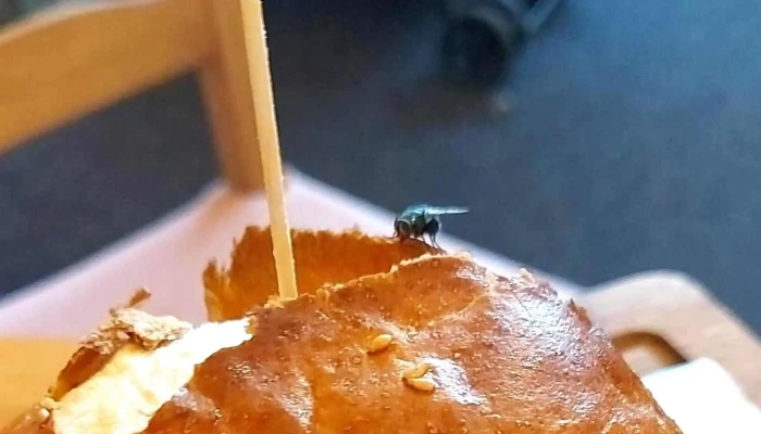 Penzion A Restaurace U Kasparku Recenze - Žďár