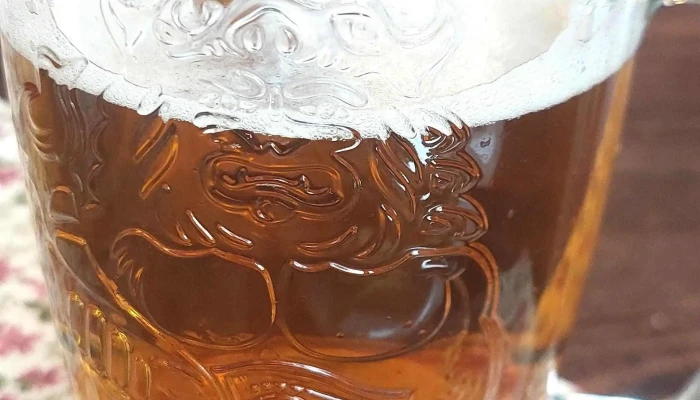 Penzion A Restaurace U Ruze Pražska Tř 71 123 - Pražská Tř. 71/123