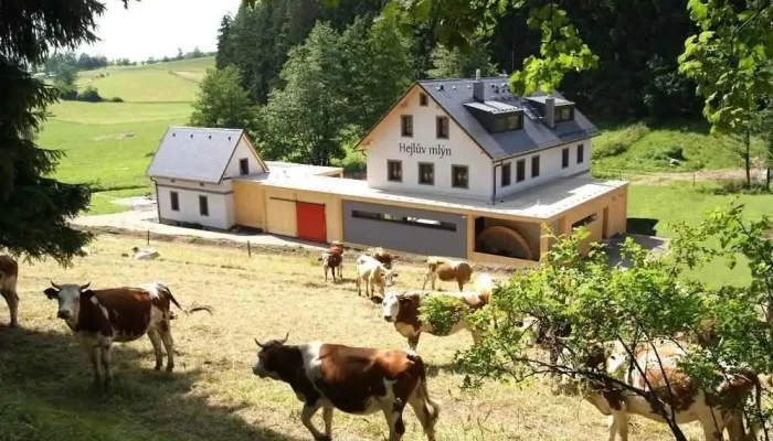 Penzion Hejlův mlýn - 56 Horní Čermná