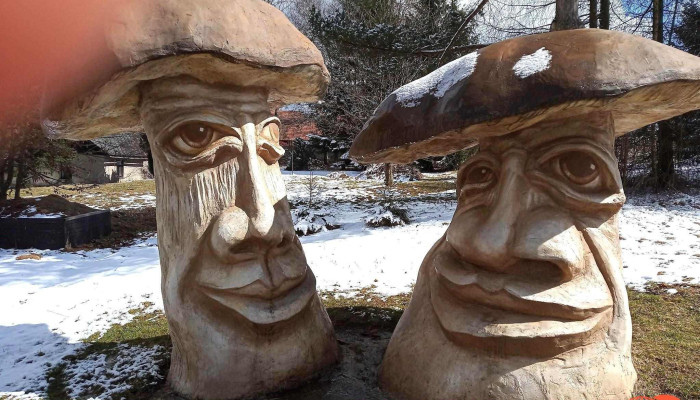 Penzion U Penazu Vse - Fryšava Pod Žákovou Horou