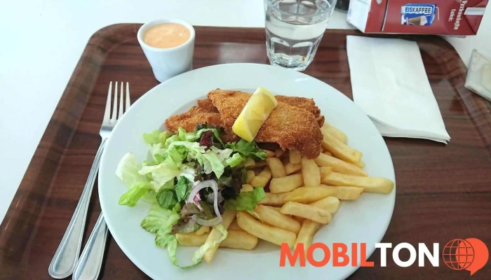 Perfect Canteen Biocev -  Hranolky - Vestec-jesenice U Prahy