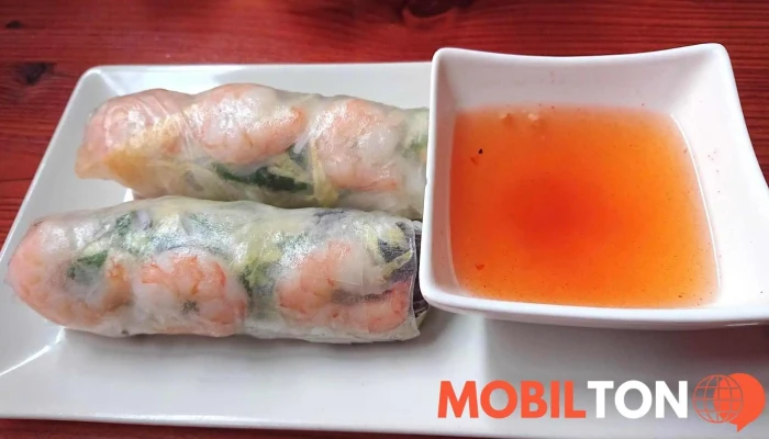 Pho Hanoi Asijska Restaurace Jarni Zavitky - Radniční 252/10