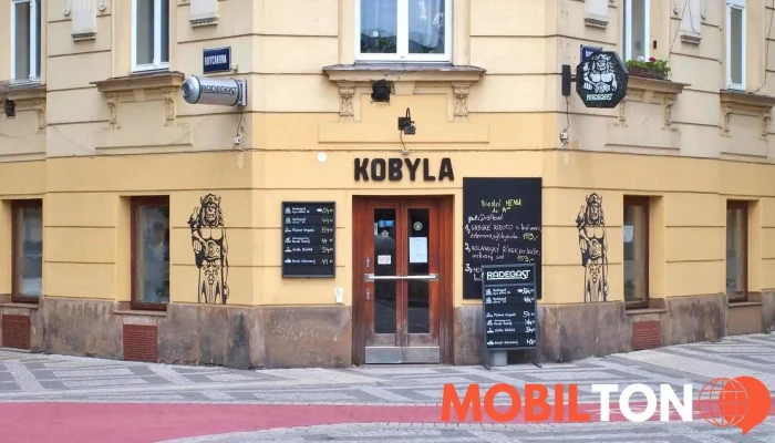 Pivnice Kobyla - tankový Radegast - 1, Československé Armády 353