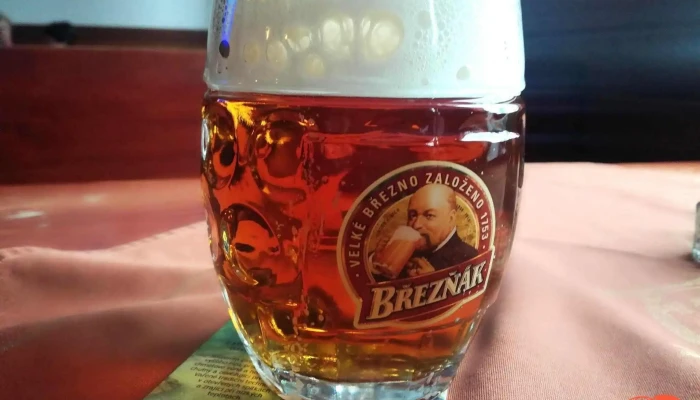 Pivnice Na Divocine Jidlo A Piti - Brodská 2236