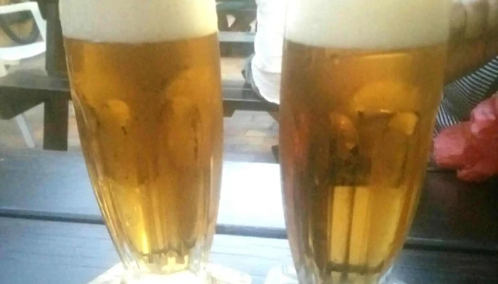 Pivnice U Petriku Ceny - 16, Novobranská 86