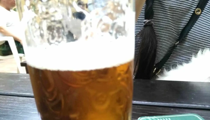 Pivnice U Petriku Otevřeno Nyni - 16, Novobranská 86