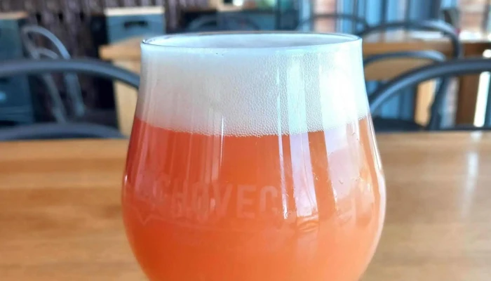 Pivovar Zichovec A Pivni Bar Louny Fotky - 5. Května 2789