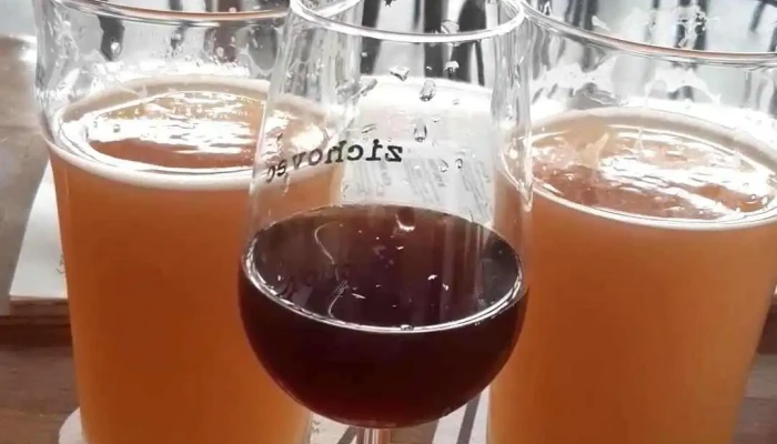 Pivovar Zichovec A Pivni Bar Louny Videa - 5. Května 2789