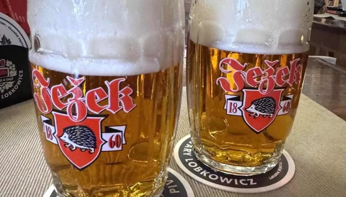 Pivovarska Restaurace Pivo - Vrchlického 2084