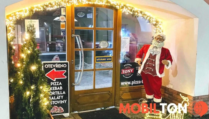 Pizza Tony -  Vse - Nám. T. G. Masaryka 314