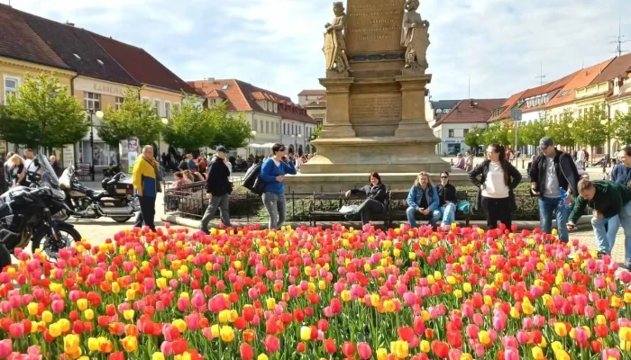 Podebrady Nejnovejsi - Czech Republic