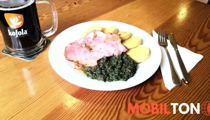Restaurace A Penzion Pyselka Jidlo A Piti - Vysoká Lhota