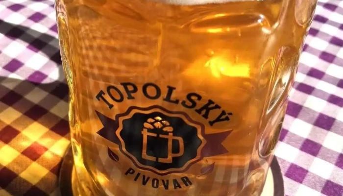 Restaurace A Penzion Topolsky Pivovar Jidlo A Piti - Topolná