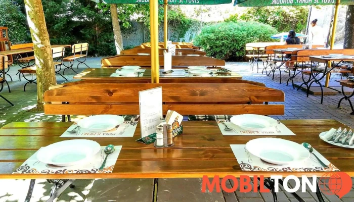 Restaurace A Pivnice Orlovna -  Vzhled A Atmosfera - Mariánské Nám. 78