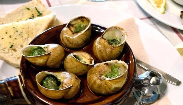 Restaurace Cajovna Katalog - Široká 24/17