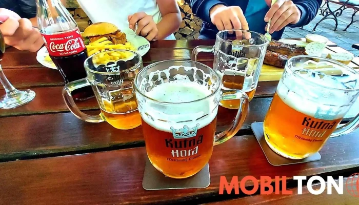 Restaurace Dacicky Pivo - Rakova 8