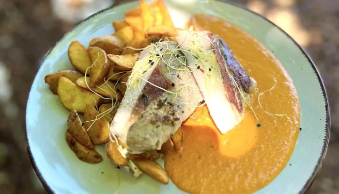 Restaurace Dasch -  Jidlo A Piti - Revoluční 408