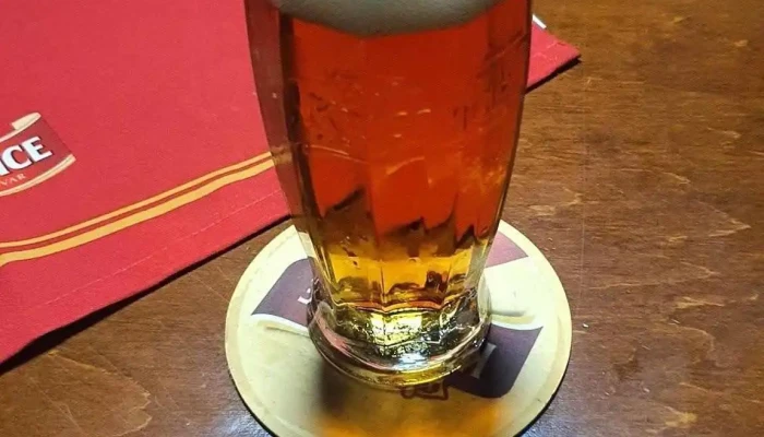 Restaurace Druzice Jidlo A Piti - Hornická