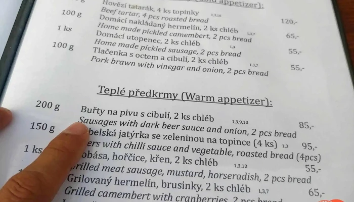 Restaurace Egida -  Menu - Husinec-řež