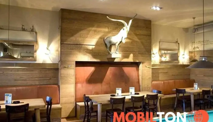 Restaurace Harenda A Pivnice Kozlovna -  Vse - Nádražní 1399