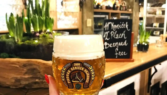 Restaurace Konicek Pivo - Mařatice