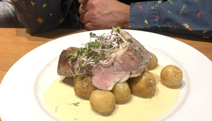Restaurace Kozlovna Celnice Zlin Webova Stranka - Bartošova 4393