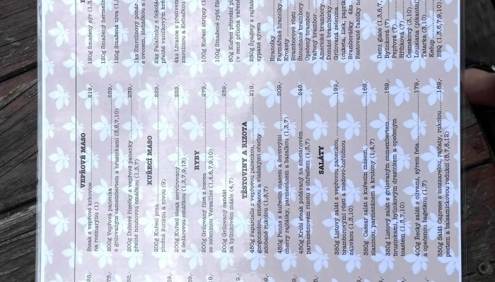 Restaurace Loucky Instagram - Horní Litvínov
