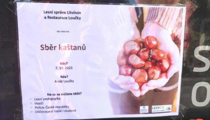 Restaurace Loucky Menu - Horní Litvínov