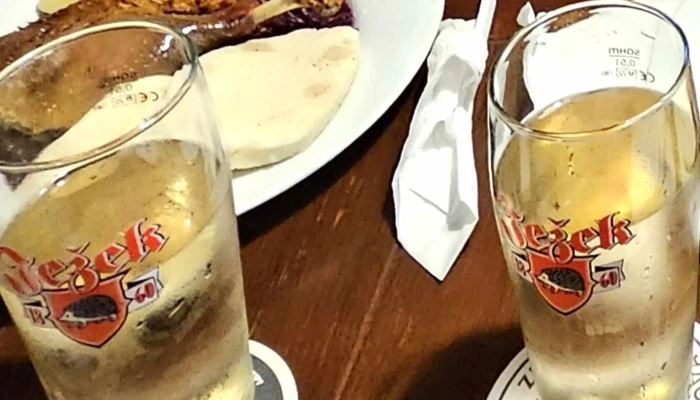 Restaurace Na Hlinisti Hodnoceni - Na Hliništi 1993